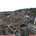 16_00-nest.jpg