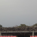 16_05-mast.jpg