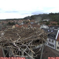 16_05-nest.jpg