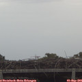 16_10-mast.jpg