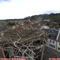 16_10-nest.jpg