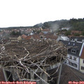 16_15-nest.jpg