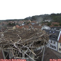 16_20-nest.jpg