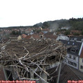 16_25-nest.jpg