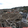16_30-nest.jpg