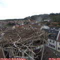 16_35-nest.jpg