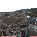16_40-nest.jpg