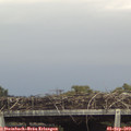 16_45-mast.jpg