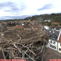 16_45-nest.jpg