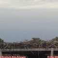 16_50-mast.jpg