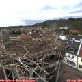 16_55-nest.jpg