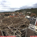 17_10-nest.jpg