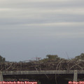 17_15-mast.jpg