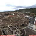 17_15-nest.jpg