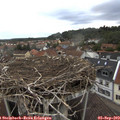 17_20-nest.jpg