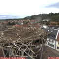 17_25-nest.jpg