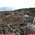 17_30-nest.jpg