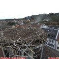 17_40-nest.jpg