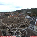 17_45-nest.jpg