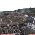 17_55-nest.jpg
