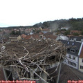 18_00-nest.jpg