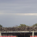 18_05-mast.jpg