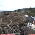 18_05-nest.jpg