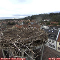 18_10-nest.jpg