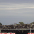 18_15-mast.jpg