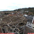 18_15-nest.jpg