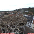 18_20-nest.jpg