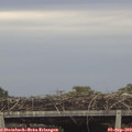 18_30-mast.jpg