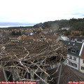 18_30-nest.jpg