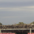 18_35-mast.jpg