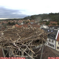 18_35-nest.jpg