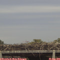 18_40-mast.jpg
