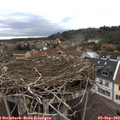 18_40-nest.jpg