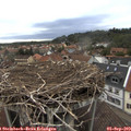 18_45-nest.jpg