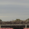 18_50-mast.jpg