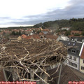 18_50-nest.jpg
