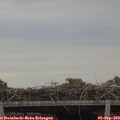 18_55-mast.jpg
