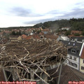 18_55-nest.jpg