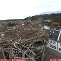 19_00-nest.jpg