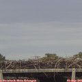 19_05-mast.jpg