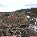 19_05-nest.jpg