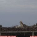 19_40-mast.jpg