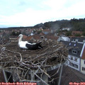 19_45-nest.jpg