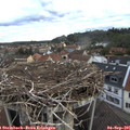 07_00-nest.jpg