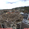 07_05-nest.jpg