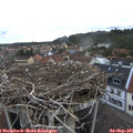 07_10-nest.jpg